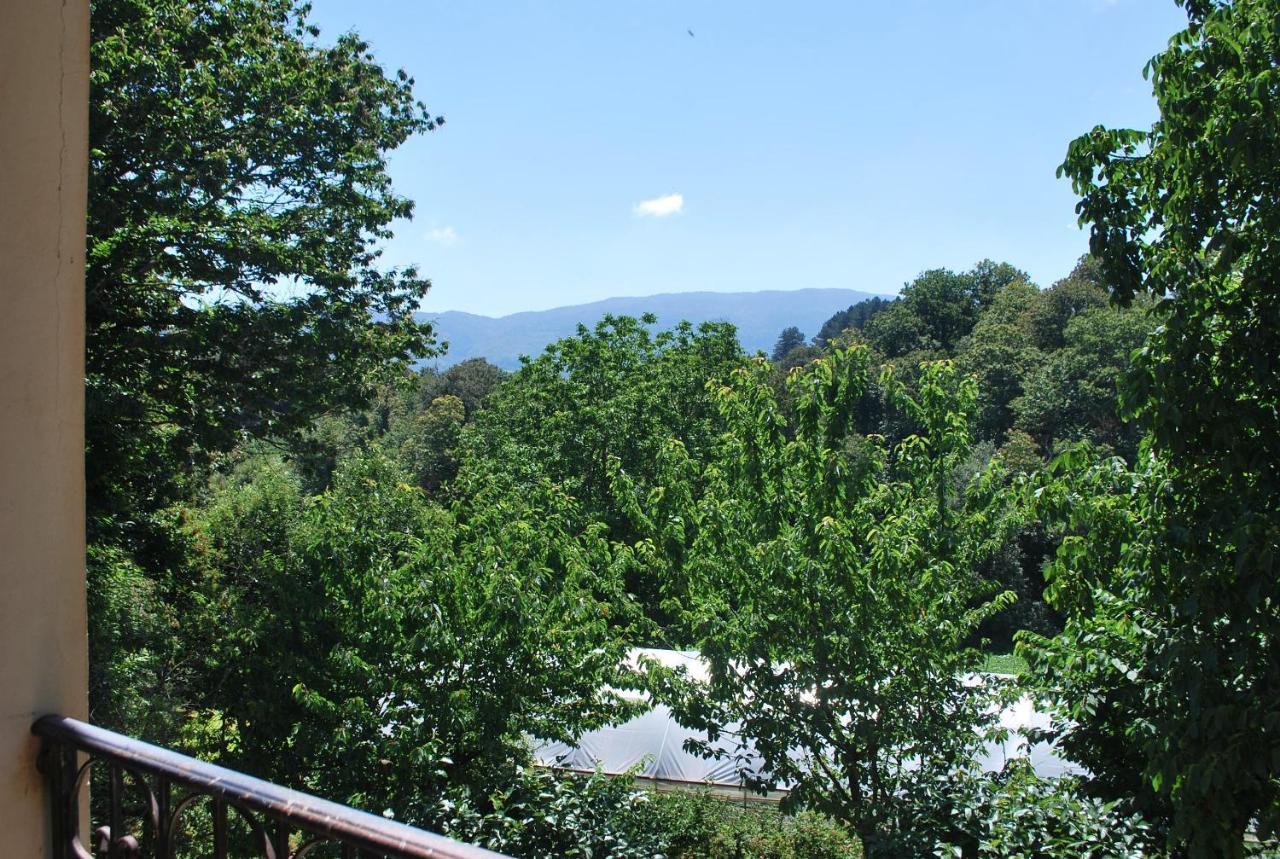 Agriturismo Roseto Villa Serra San Bruno Eksteriør bilde